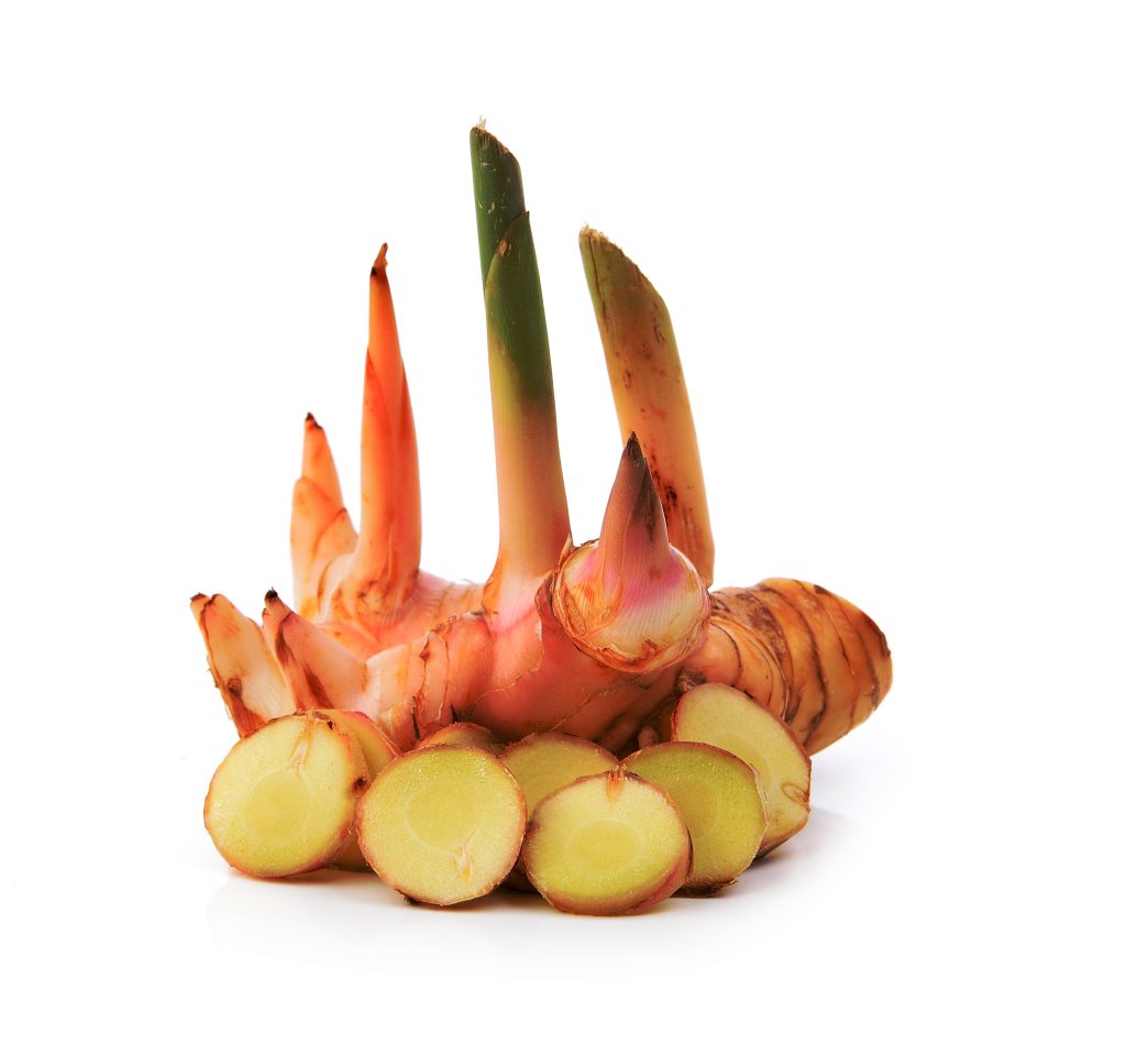 Lương Khương (Alpinia offcinarum)