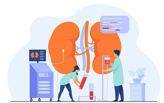 Bệnh thận Lupus - chẩn đoán và 2 phương pháp điều trị