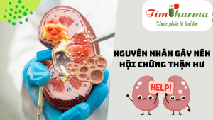 Hội chứng thận hư và 2 nhóm nguyên nhân gây bệnh
