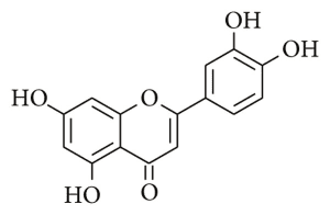 Luteolin có trong dịch chiết của tía tô