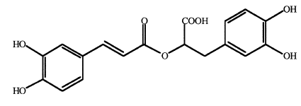 Rosmarinic acid có trong thành phần của tía tô
