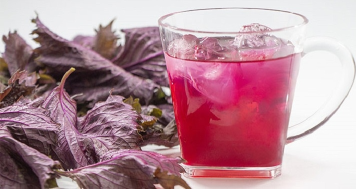 Tía tô trong các bài thuốc Đông y